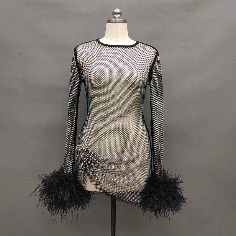 Hadley Crystal Rhinestone Mesh Gathered Side Mini Dress with Feather Trim