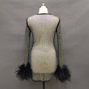 Hadley Crystal Rhinestone Mesh Gathered Side Mini Dress with Feather Trim - Ever Chic Fashions