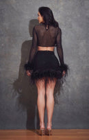 Jaree Black Rhinestone and Feather Mesh Crop Top and Mini Skirt Set - Ever Chic Fashions