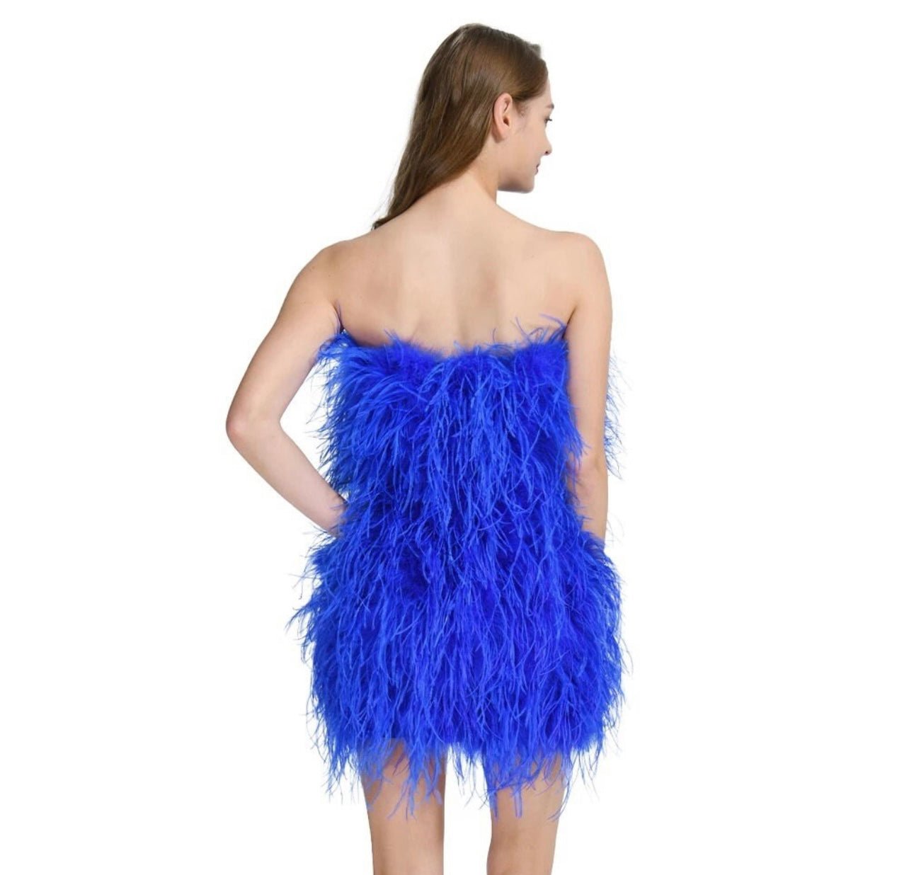 Sosie Strapless Feather Dress